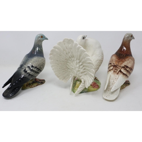 354 - Beswick fan tailed dove model no. 1614, and two Beswick pigeons, no cracks or chips, largest H: 16 c... 