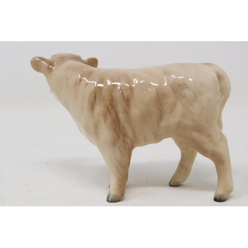 379 - Beswick Charolais calf, no cracks or chips, L: 11 cm. UK P&P Group 1 (£16+VAT for the first lot and ... 