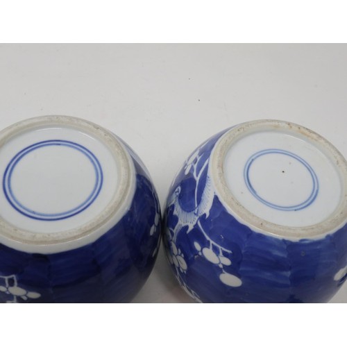 189 - Pair of Chinese 19th century jars decorated with prunus, with matched covers, jars good, one cover h... 