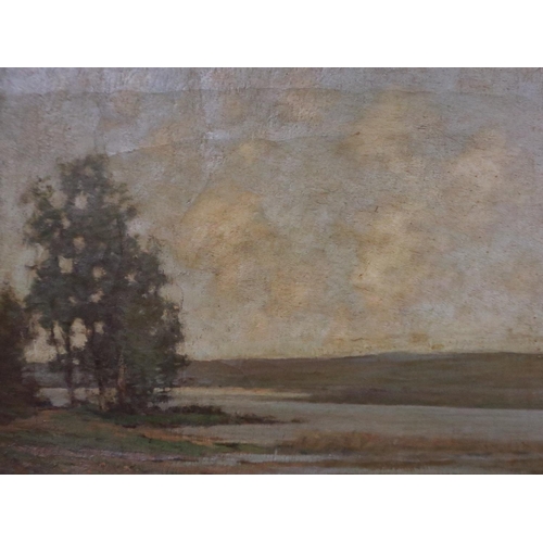 Lot 2305      