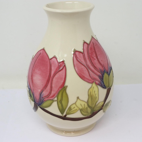 218 - Moorcroft cream ground vase in the Magnolia pattern, no cracks or chips, H: 20 cm. UK P&P Group 2 (£... 