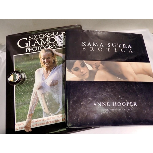 1108 - Two glamour photography books. UK P&P Group 1 (£16+VAT for the first lot and £2+VAT for subsequent l... 