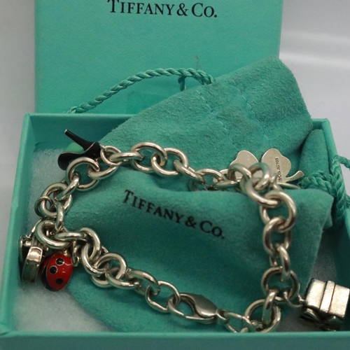 53 - 925 silver charm bracelet marked for Tiffany & Co with seven charms, receipt of £141 for the enamell... 