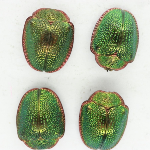 170 - Four Victorian loose scarabs removed from jewellery, average H: 1.5 cm, L: 1 cm. UK P&P Group 1 (£16... 