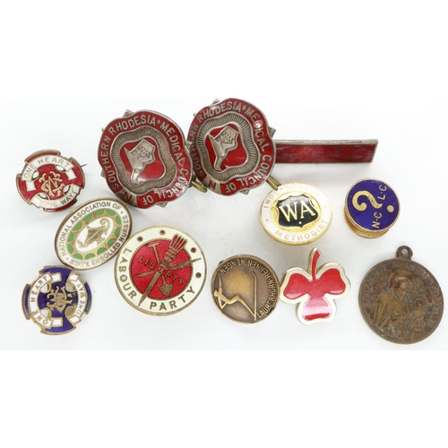 173 - Collection of enamelled pin badges, including The Labour Party, Medical Council of Southern Rhodesia... 