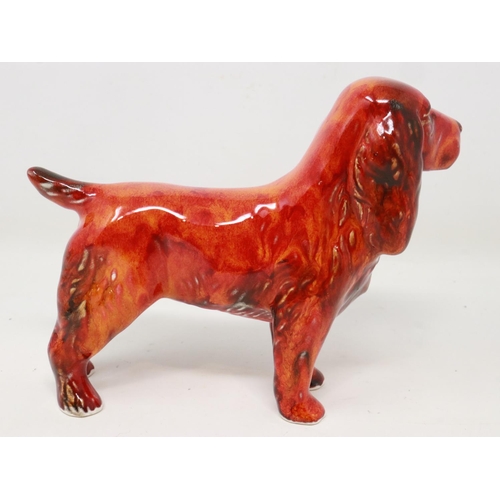 275 - Anita Harris spaniel, signed in gold, no cracks or chips, H: 11 cm. UK P&P Group 1 (£16+VAT for the ... 