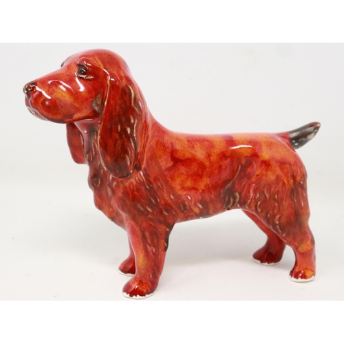 275 - Anita Harris spaniel, signed in gold, no cracks or chips, H: 11 cm. UK P&P Group 1 (£16+VAT for the ... 