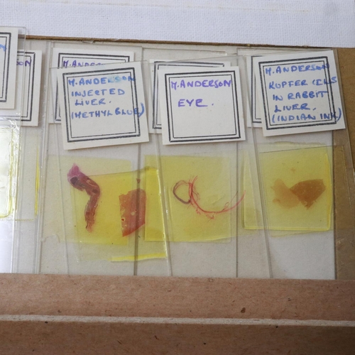 134 - Selection of mixed human biology slides, boxed. Not available for in-house P&P