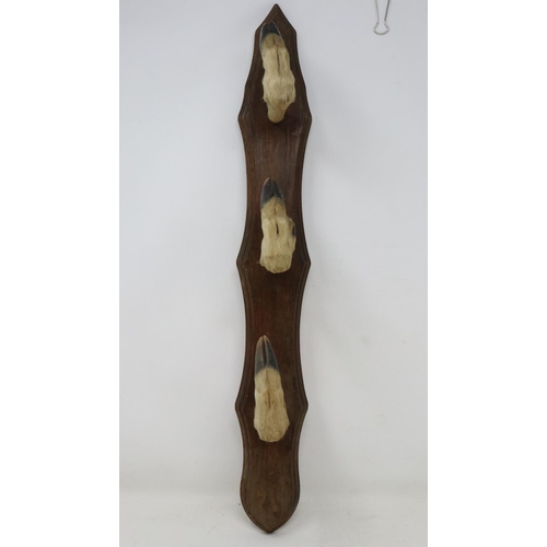 279 - Wooden coat hanger with three hooves as the hooks, L: 53 cm. UK P&P Group 2 (£20+VAT for the first l... 