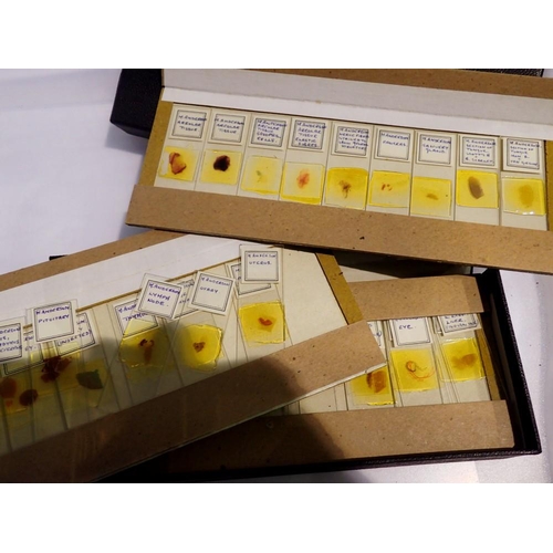 1125 - Selection of mixed human biology slides, boxed. Not available for in-house P&P