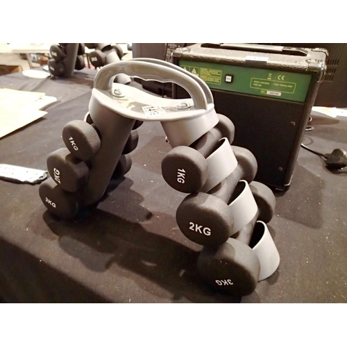 1419 - Set of six dumbbells on stand. Not available for in-house P&P