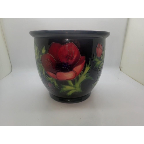 288 - Moorcroft planter in the Anemone pattern, no chips or cracks, H: 17 cm. UK P&P Group 2 (£20+VAT for ... 