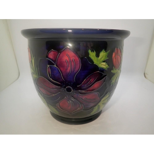 288 - Moorcroft planter in the Anemone pattern, no chips or cracks, H: 17 cm. UK P&P Group 2 (£20+VAT for ... 