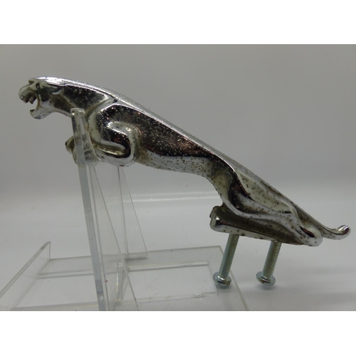 231 - Chrome Jaguar car mascot, L: 19 cm. UK P&P Group 2 (£20+VAT for the first lot and £4+VAT for subsequ... 