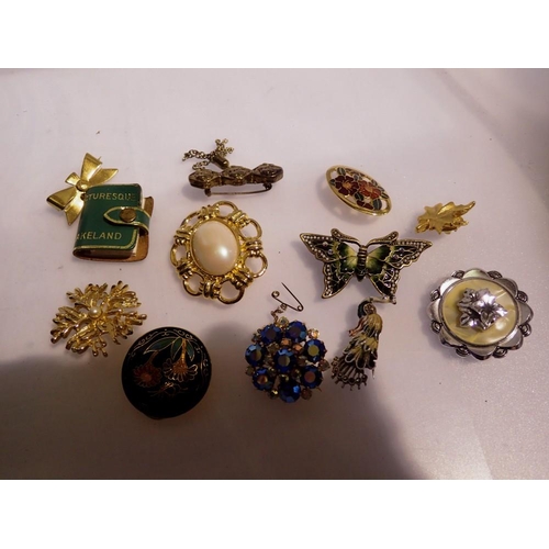 1075 - Mixed costume jewellery brooches. UK P&P Group 1 (£16+VAT for the first lot and £2+VAT for subsequen... 