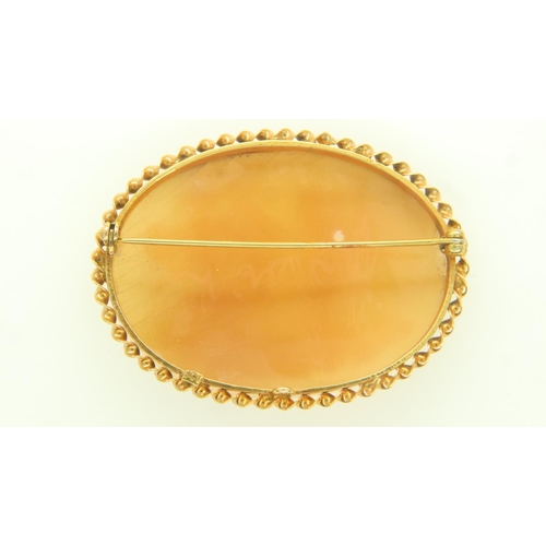 4 - Large shell cameo in a 9ct gold setting, D: 50mm, 10.0g. UK P&P Group 0 (£6+VAT for the first lot an... 