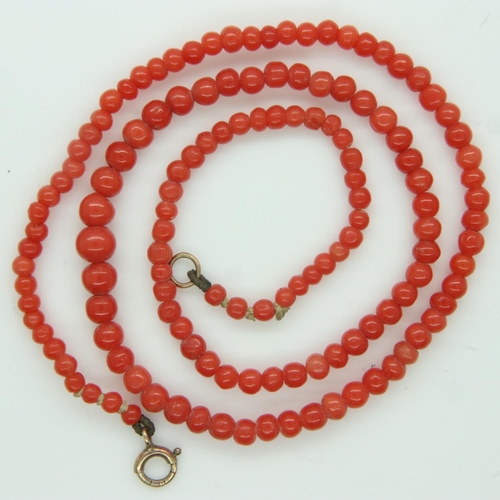 98 - 1920s 9ct gold clasp coral strand necklace, L: 40 cm. UK P&P Group 0 (£6+VAT for the first lot and £... 