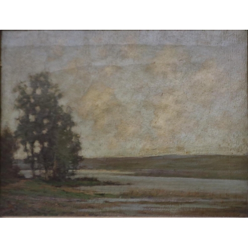 2036 - William Miller (19th century English school): oil on canvas, trees on the riverbank, 45 x 34 cm. Not... 