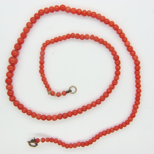 101 - 1920s 9ct gold clasp coral strand necklace, L: 40 cm. UK P&P Group 0 (£6+VAT for the first lot and £... 