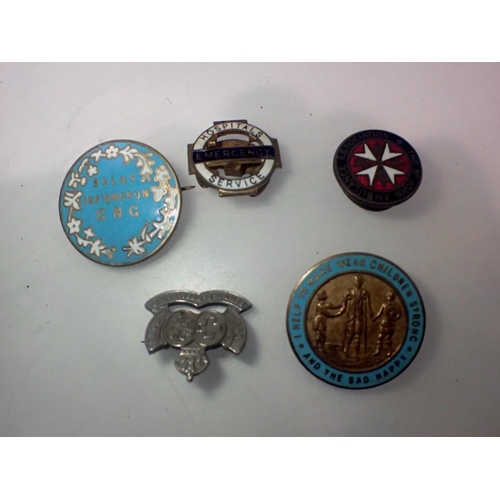 1081 - Collection of enamelled nurses badges. UK P&P Group 1 (£16+VAT for the first lot and £2+VAT for subs... 