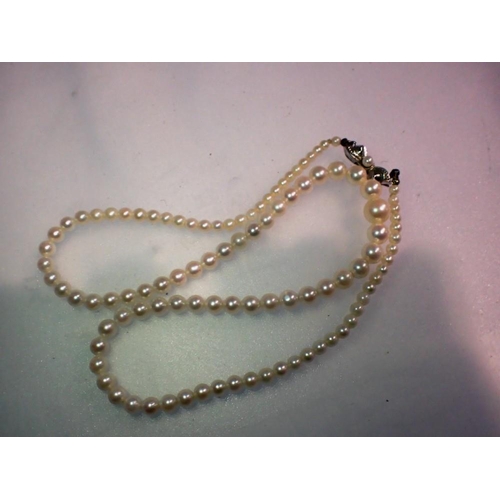 1059 - A strand of graduated pearls on a silver clasp. UK P&P Group 0 (£6+VAT for the first lot and £1+VAT ... 