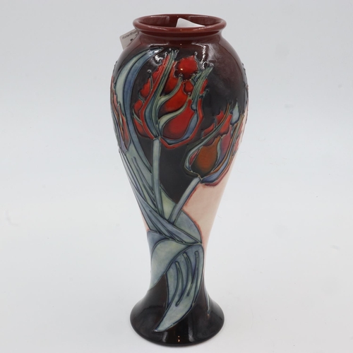 194 - Moorcroft tall vase, no chips or cracks, 28cm H. UK P&P Group 2 (£20+VAT for the first lot and £4+VA... 