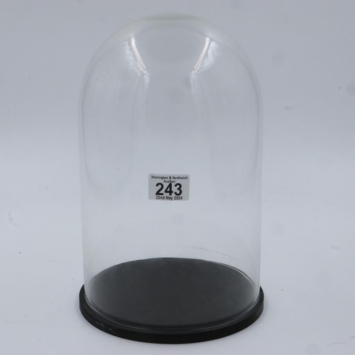 243 - Glass dome raised on a circular wooden base, H: 30 cm. Not available for in-house P&P