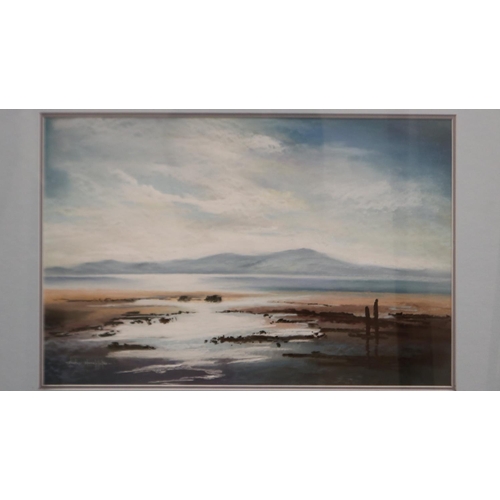 2038 - Shirley Shackleton (20th century): pastels, Solway, with artists label verso, 52 x 33 cm. Not availa... 