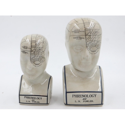 177 - Two LN Fowler phrenology heads, largest H: 30 cm. Not available for in-house P&P