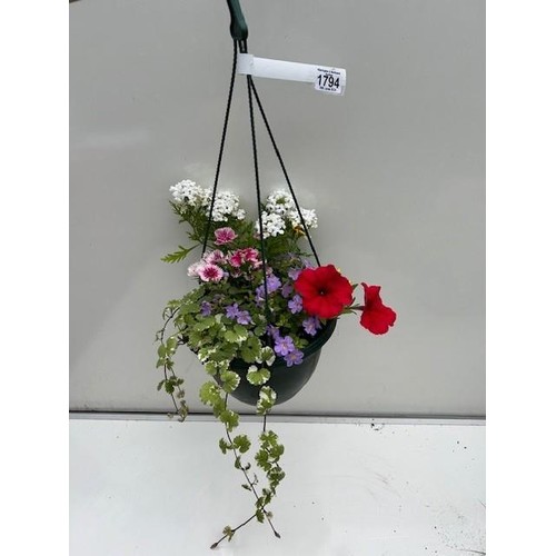 1794 - Colourful hanging basket. Not available for in-house P&P