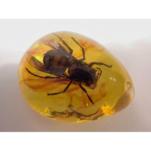 1087 - Hornet preserved in amber resin. UK P&P Group 1 (£16+VAT for the first lot and £2+VAT for subsequent... 