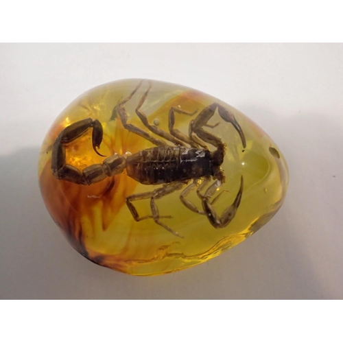 1088 - Scorpion preserved in amber resin. UK P&P Group 1 (£16+VAT for the first lot and £2+VAT for subseque... 