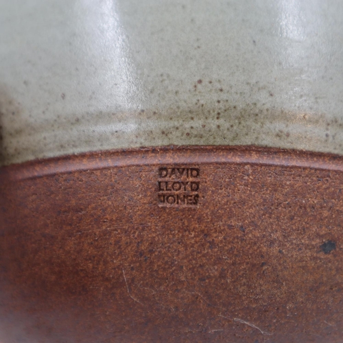 166 - David Lloyd Jones large studio pottery teapot, no cracks or chips, H: 28 cm. UK P&P Group 3 (£30+VAT... 