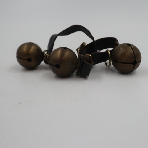 300 - Victorian Hansom cab bells, marked Victoria No23, on leather straps. UK P&P Group 1 (£16+VAT for the... 