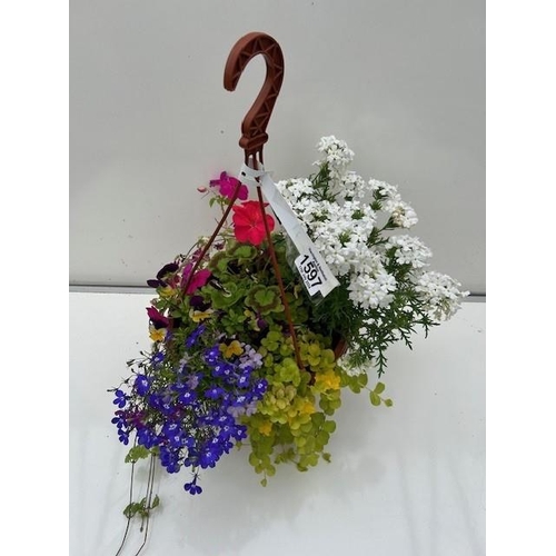 1597 - Colourful hanging basket. Not available for in-house P&P