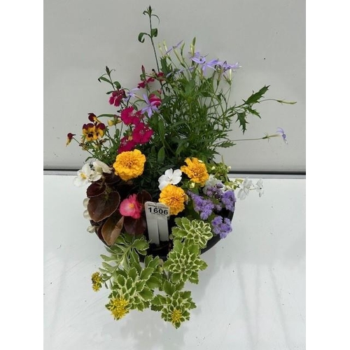 1606 - Colourful planted pot. Not available for in-house P&P