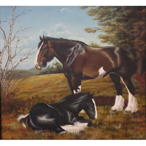 2007 - 20th century oil on canvas, depicting a standing coloured cob with a lying young horse, signature in... 