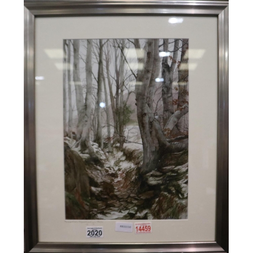 2020 - Tina Holley (20th century): watercolour and pastels, Beeches Aberglaslyn Pass, 27 x 39 cm, frame 46 ... 