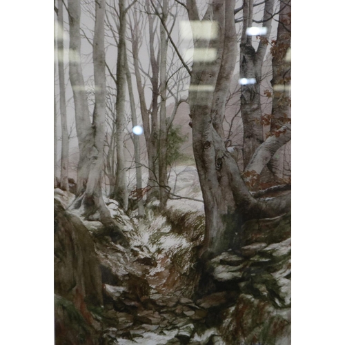 2020 - Tina Holley (20th century): watercolour and pastels, Beeches Aberglaslyn Pass, 27 x 39 cm, frame 46 ... 