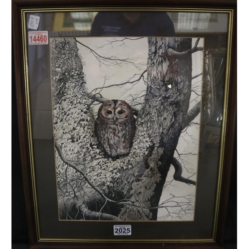 2025 - Jeff Gilberthorpe (b. 1939): ink and watercolour wash, owl perching in a tree, dated 88, 29 x 38 cm,... 