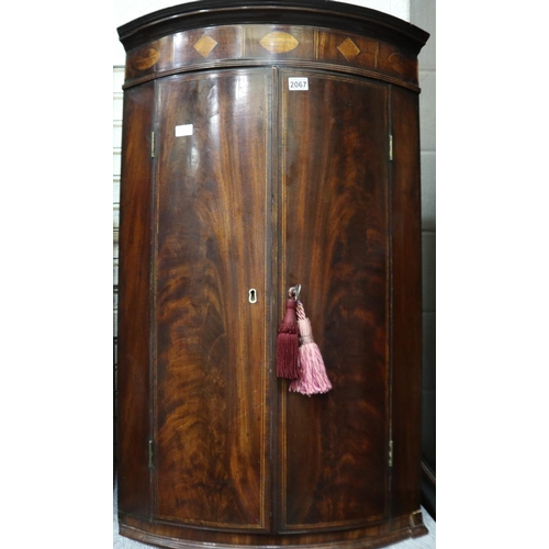 2067 - Georgian two-door barrel-front inlaid walnut corner cupboard with three fixed shelves within, W: 69 ... 