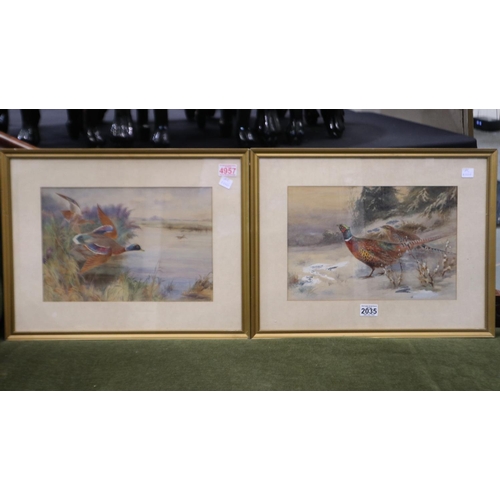 2035 - James Stinton (1870-1961): a pair of watercolours, game birds (pheasants and mallards), each 37 x 24... 