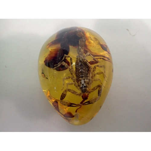 1068 - Scorpion preserved in amber resin. UK P&P Group 1 (£16+VAT for the first lot and £2+VAT for subseque... 