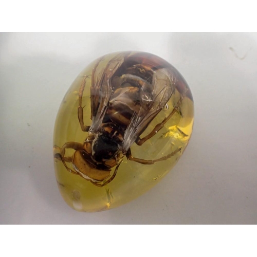 1070 - Hornet preserved in amber resin. UK P&P Group 1 (£16+VAT for the first lot and £2+VAT for subsequent... 