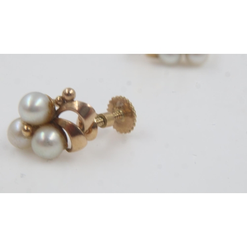 59 - Pair of 9ct gold and pearl screw back earrings, 2.8g. UK P&P Group 0 (£6+VAT for the first lot and £... 