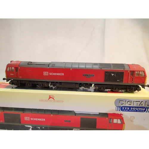 2318 - OO scale Hornby R3605 TTS, class 60 diesel, refinished by Bens Resprays to 60091, Barry Needham, D.B... 