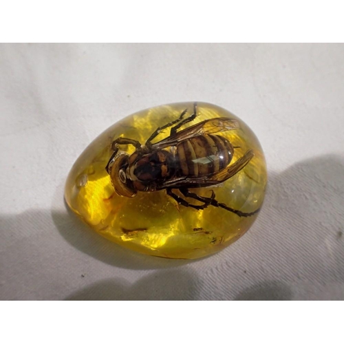 1108 - Hornet preserved in amber resin. UK P&P Group 1 (£16+VAT for the first lot and £2+VAT for subsequent... 