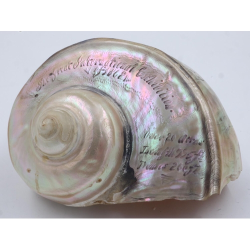 102 - Great International Exhibition 1862 carved conch shell, L: 13 cm, W: 14 cm. UK P&P Group 1 (£16+VAT ... 