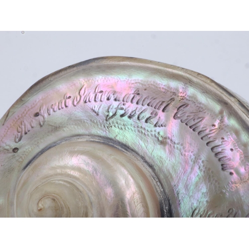 102 - Great International Exhibition 1862 carved conch shell, L: 13 cm, W: 14 cm. UK P&P Group 1 (£16+VAT ... 