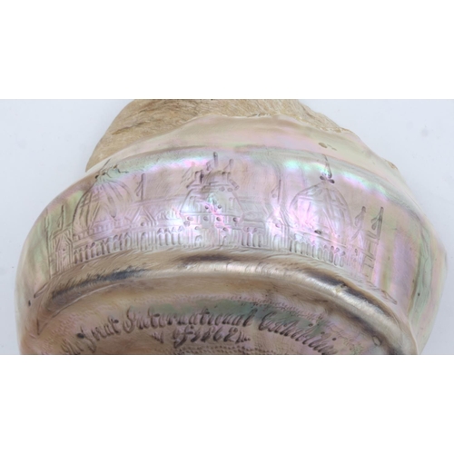 102 - Great International Exhibition 1862 carved conch shell, L: 13 cm, W: 14 cm. UK P&P Group 1 (£16+VAT ... 